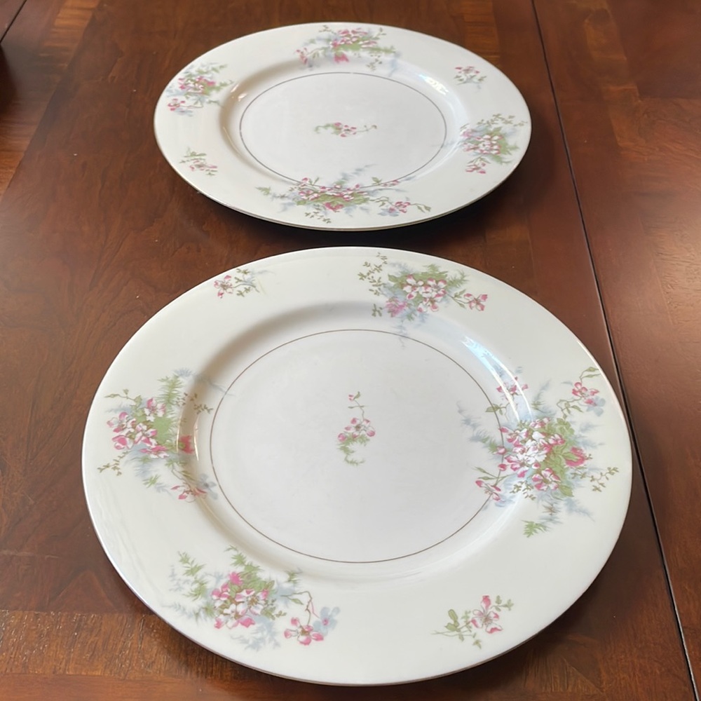 Theodore Haviland New York Apple Blossom pattern set of 2 10.75” dinner plates